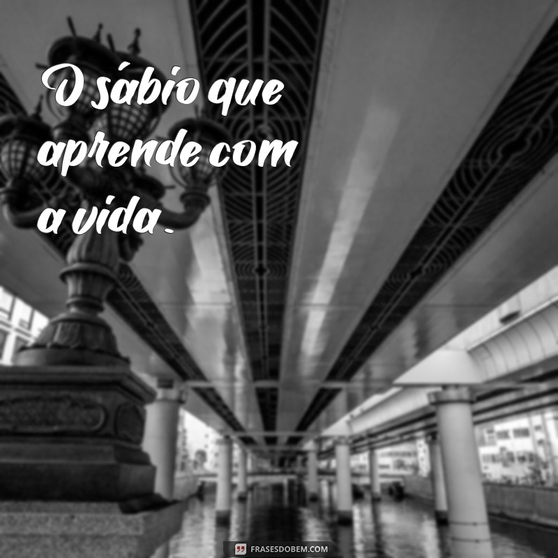 sujeito de uma frases O sábio que aprende com a vida.