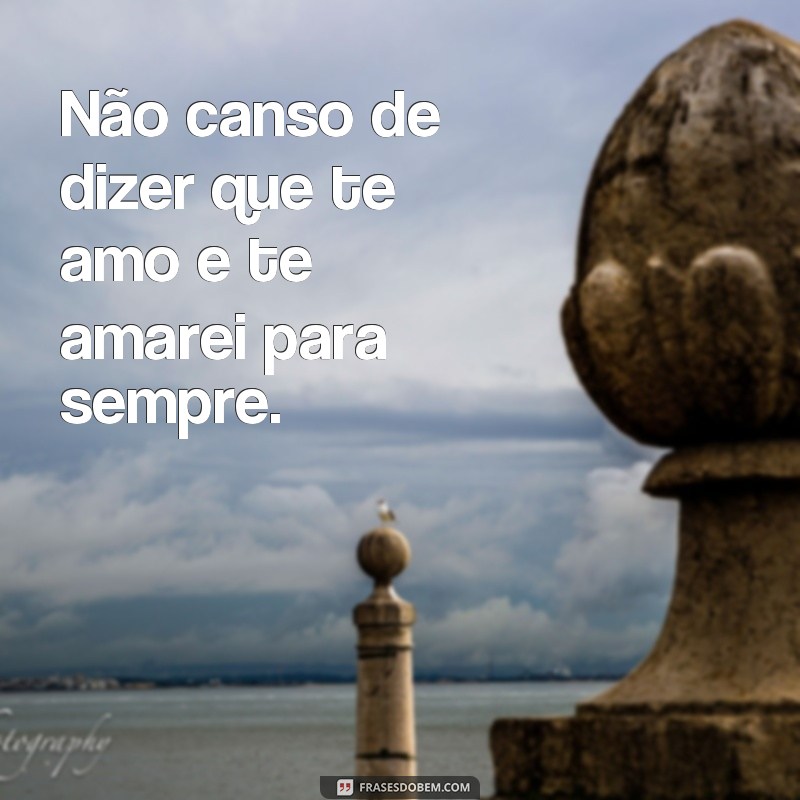 Descubra as melhores frases para expressar seu novo amor em seu status 