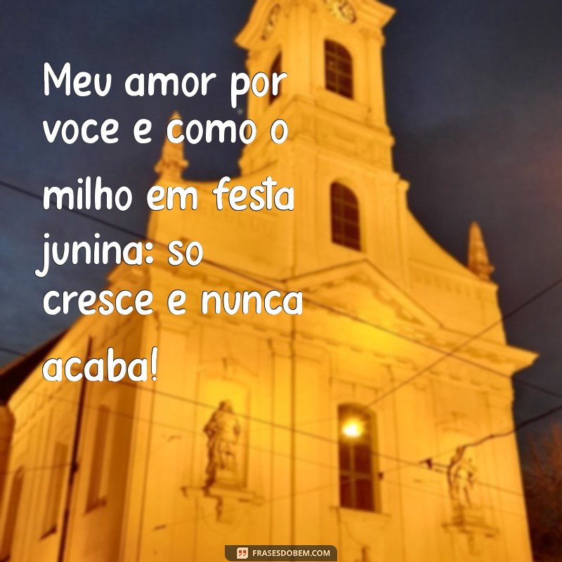 As Melhores Frases Engraçadas para Celebrar o São João com Humor 