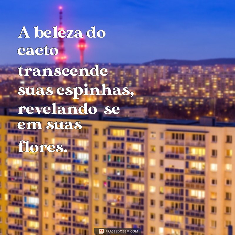 Descubra as mais belas frases inspiradas na flor de cactus 