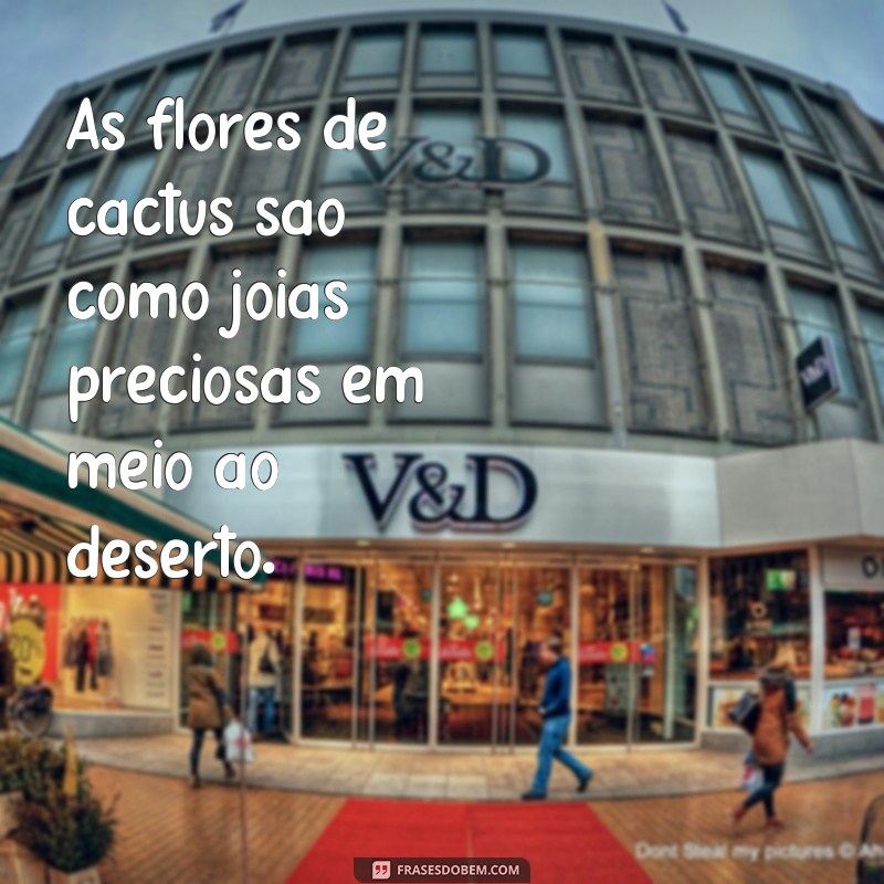 Descubra as mais belas frases inspiradas na flor de cactus 