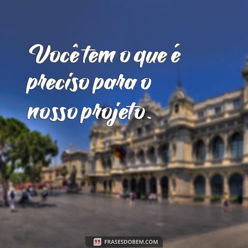  Você tem o que é preciso para o nosso projeto.