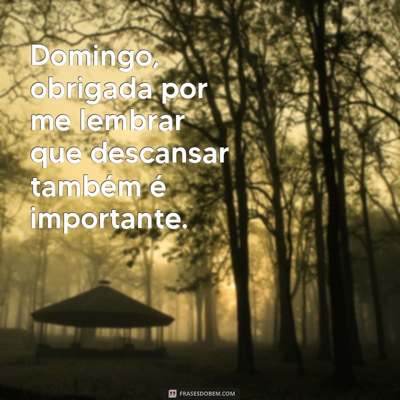 27 Frases Inspiradoras para Encerrar o Domingo com Positividade 