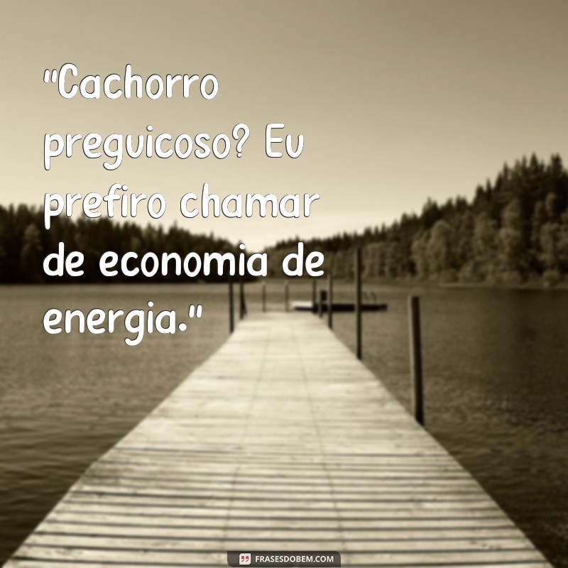 frases cachorro engraçado 