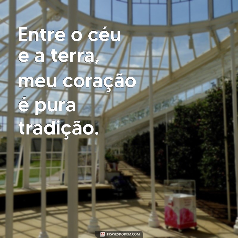 Frases de Gaúcho: Sabedoria e Tradição da Cultura Sulista 