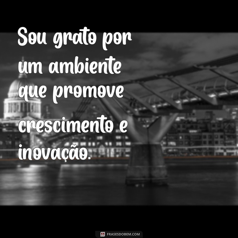 Frases Inspiradoras de Gratidão para Valorizar seu Trabalho e Aumentar a Motivação 