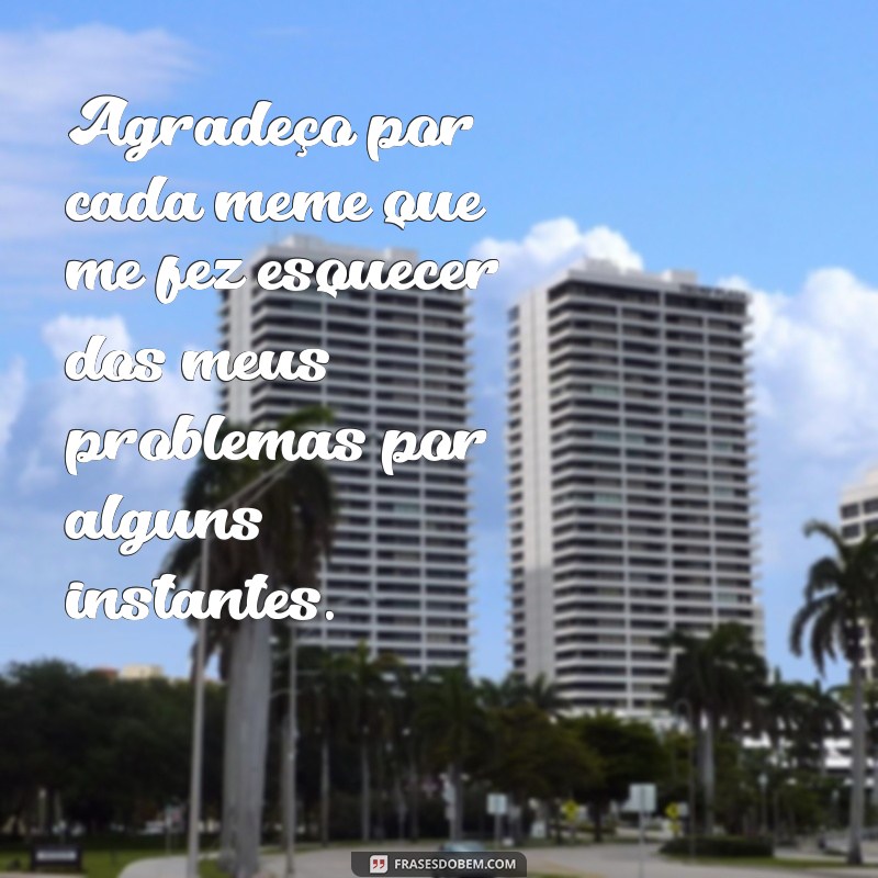 Descubra as melhores frases de agradecimento em memes para expressar sua gratidão 