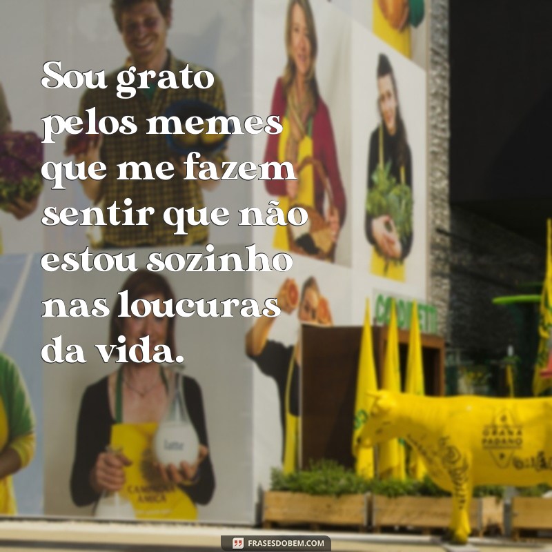 Descubra as melhores frases de agradecimento em memes para expressar sua gratidão 