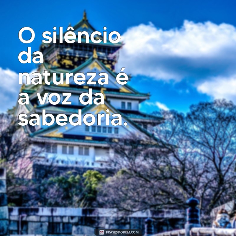 Frases Inspiradoras de Índio: Sabedoria e Reflexões da Cultura Indígena 