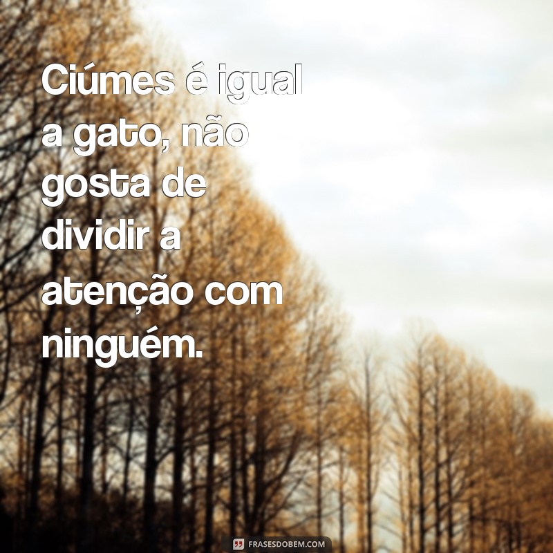 Divirta-se com as melhores frases de ciúmes engraçadas para compartilhar 