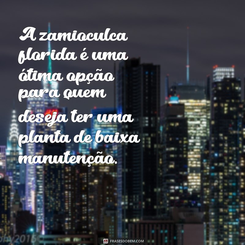 Descubra as melhores frases para legendar suas fotos com a exuberante Zamioculca florida 