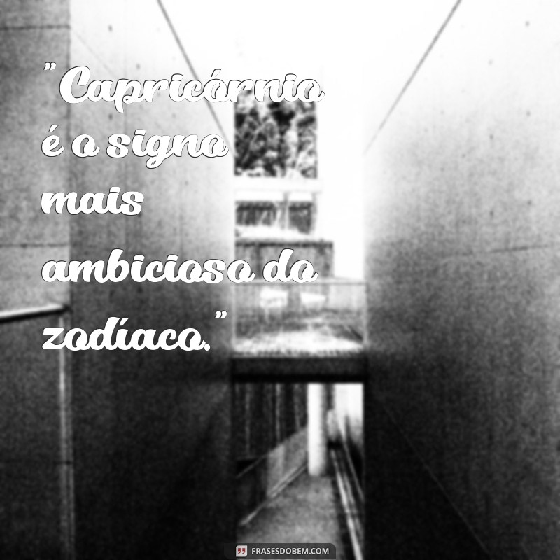 frases do signo de capricórnio 