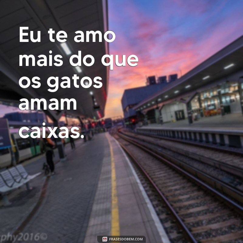 Descubra as melhores frases meme para expressar seu amor! 