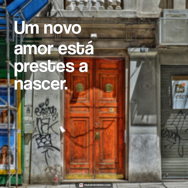 Frases Criativas para Legendar suas Fotos de Gestante 