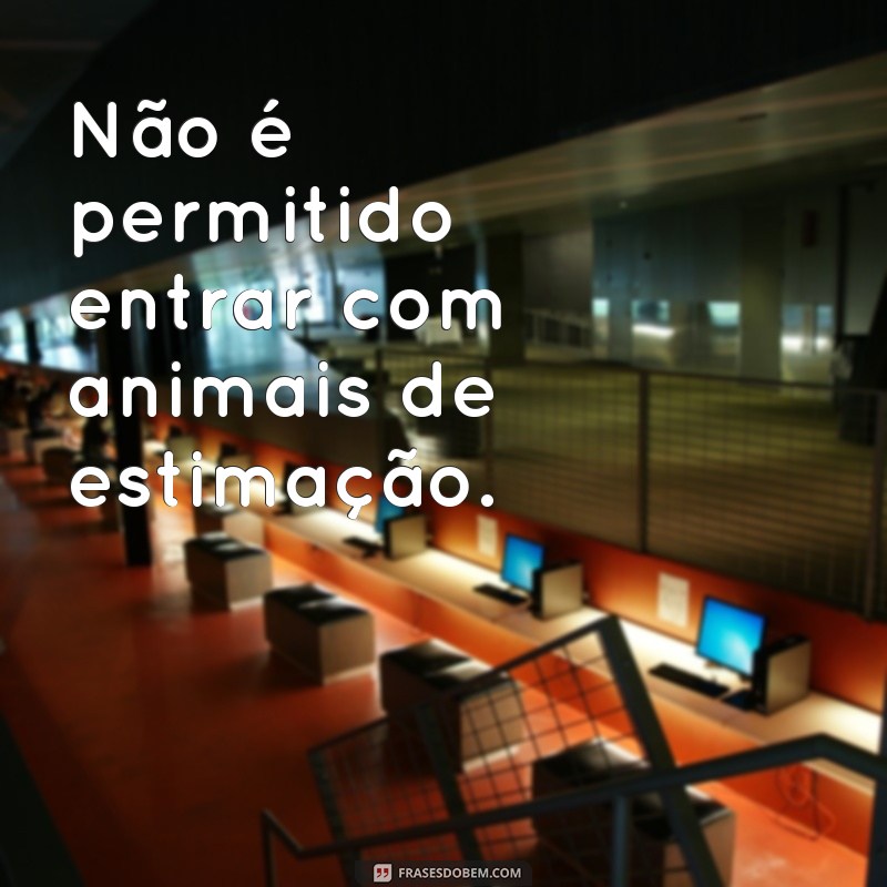 Descubra as melhores frases de proibição de entrada para utilizar em seu estabelecimento 