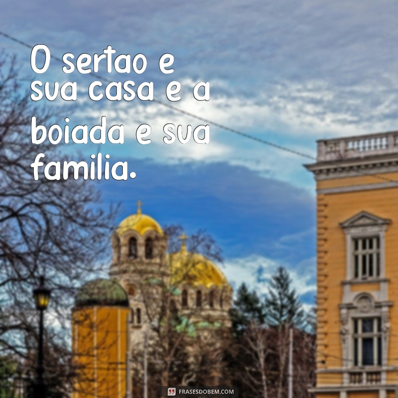 Descubra as melhores frases para acompanhar suas fotos de vaqueiro 