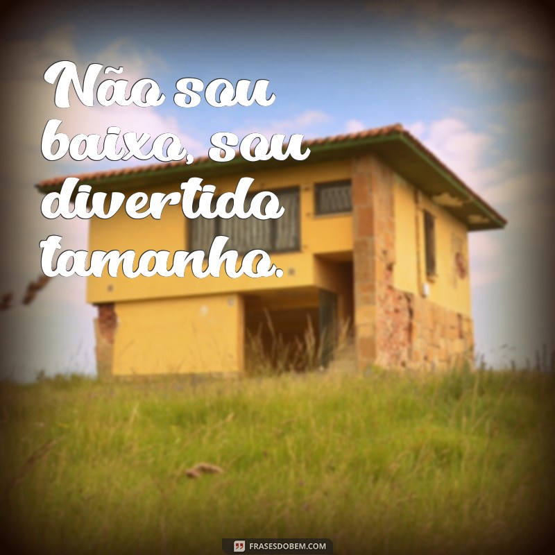 Divirta-se com as melhores frases de anão engraçadas - Confira! 