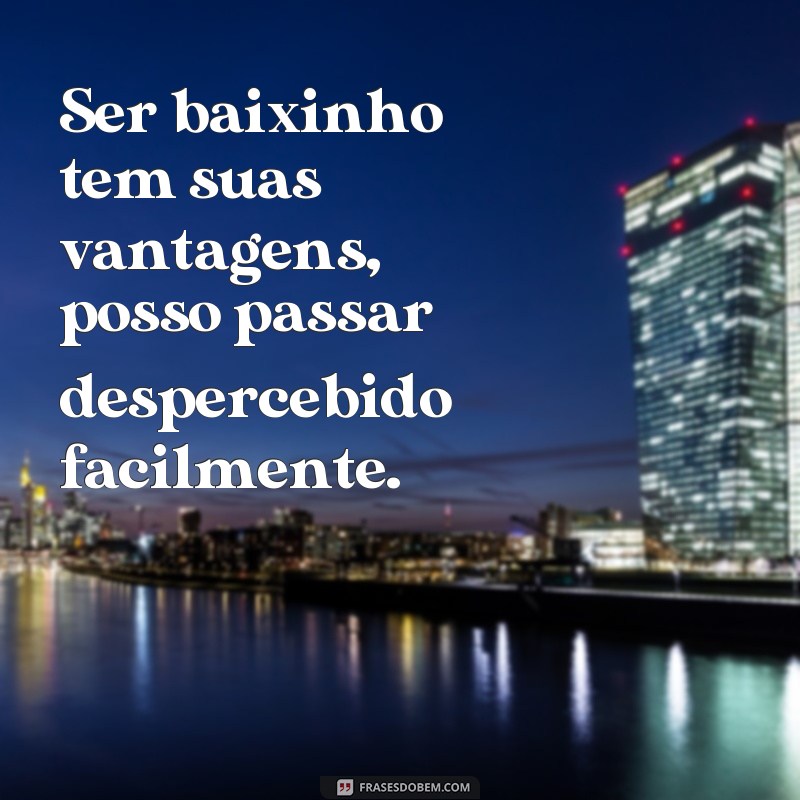 Divirta-se com as melhores frases de anão engraçadas - Confira! 