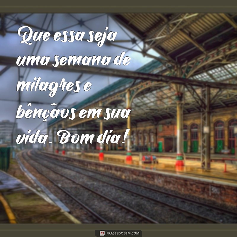 Encante seus contatos do WhatsApp com as melhores frases de bom dia e boa semana! 