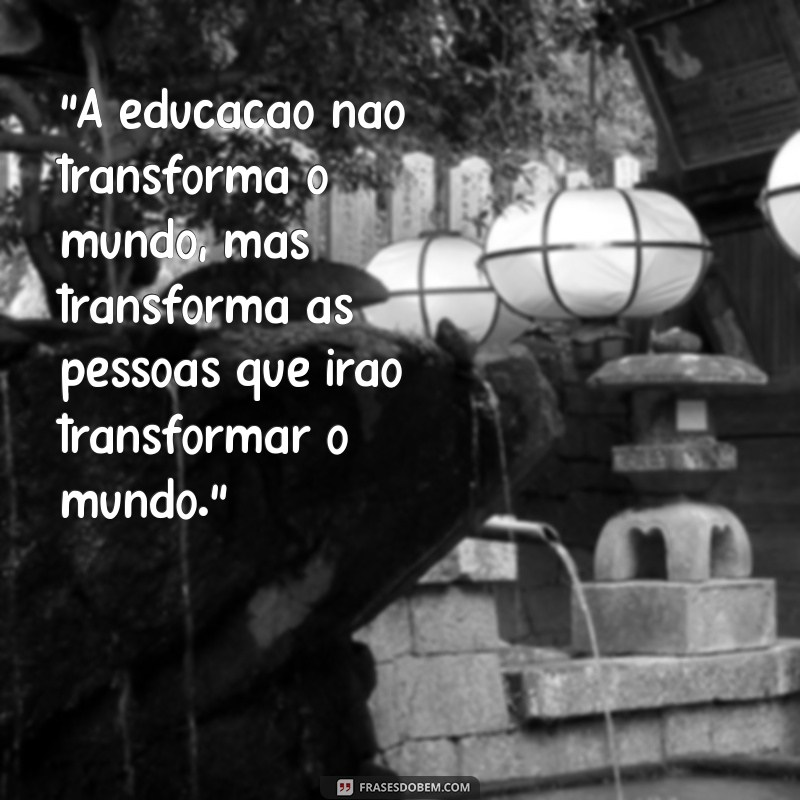 frases de paulo freire a educação não transforma o mundo 