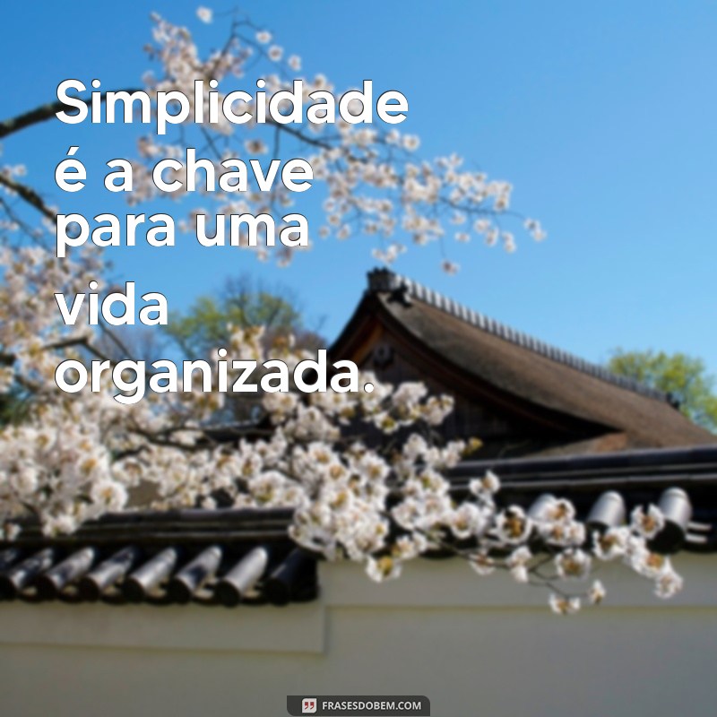 Transforme Sua Vida com Estas Inspirações: Frases de Personal Organizer 