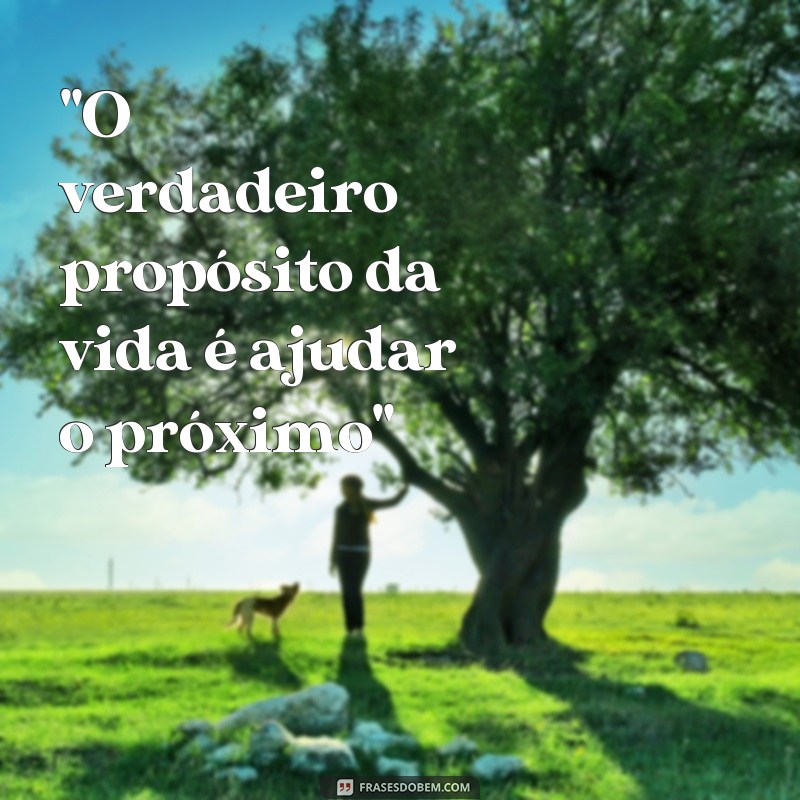 frases de efeito sobre ajudar o proximo 