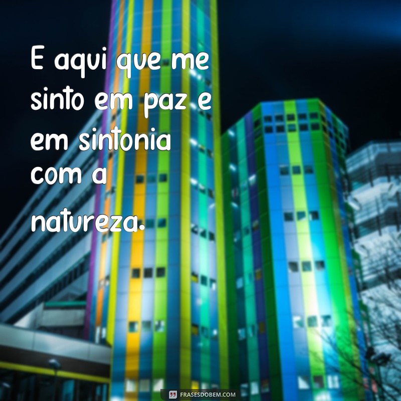 frases de cantinho especial É aqui que me sinto em paz e em sintonia com a natureza.