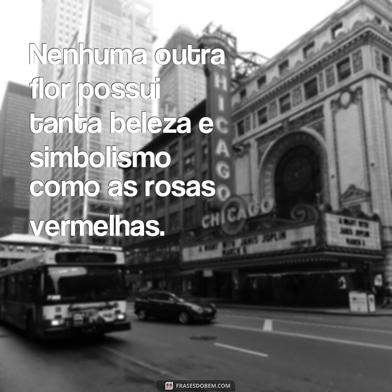 Descubra as Mais Belas Frases para Acompanhar suas Fotos de Rosas Vermelhas 