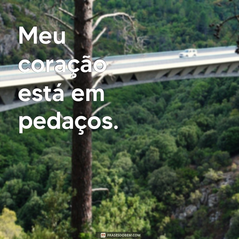 Emoção em imagens: confira as melhores fotos de frases tristes 