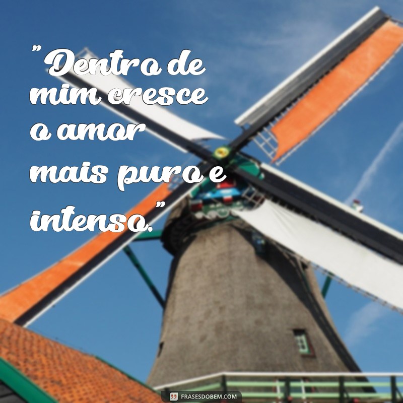 frases para foto gravida de 9 meses 