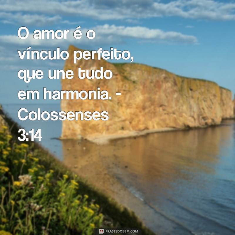 Descubra as melhores frases bíblicas para celebrar seu aniversário de casamento 