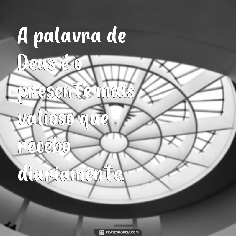 Descubra as melhores frases para encontrar a palavra de Deus em sua vida 