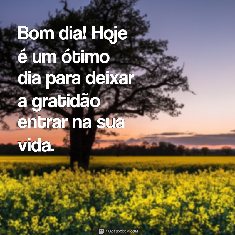 Frases Inspiradoras de Bom Dia para Iluminar sua Quinta-Feira 