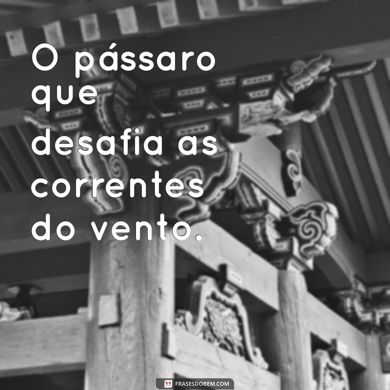 Descubra Frases de Epíteto: Inspiração e Criatividade em Palavras 