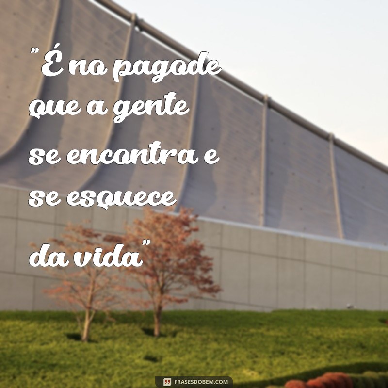 frases cantores de pagode 