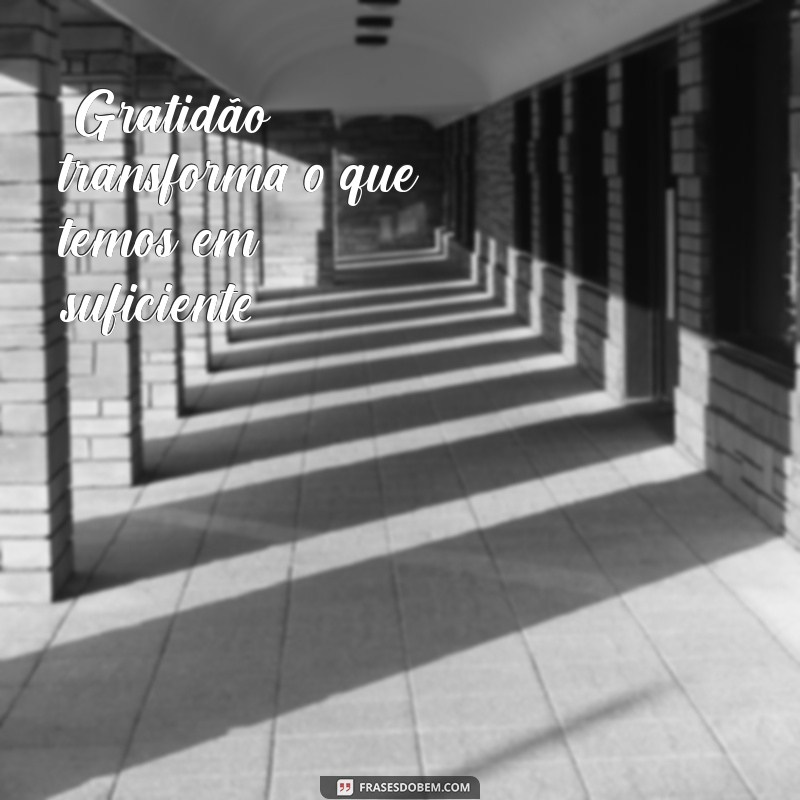 frases de gratidão para foto 