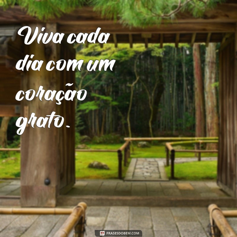 50 Frases Inspiradoras de Gratidão para Acompanhar Suas Fotos 