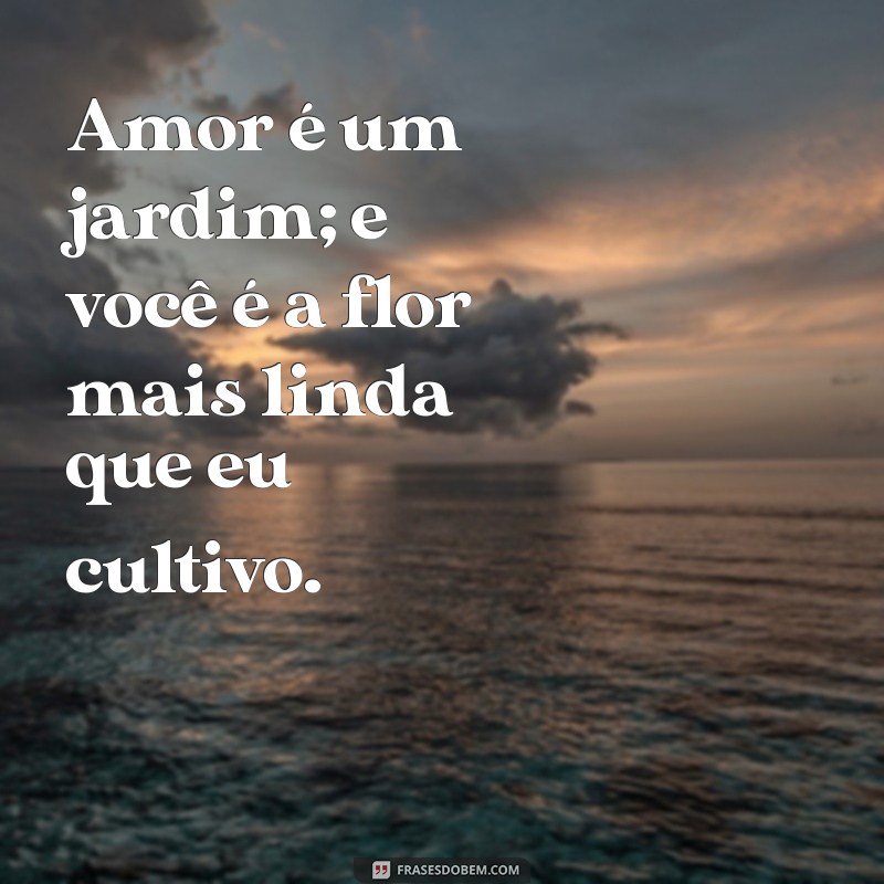 As Melhores Frases de Livros Românticos para Inspirar o Seu Coração 