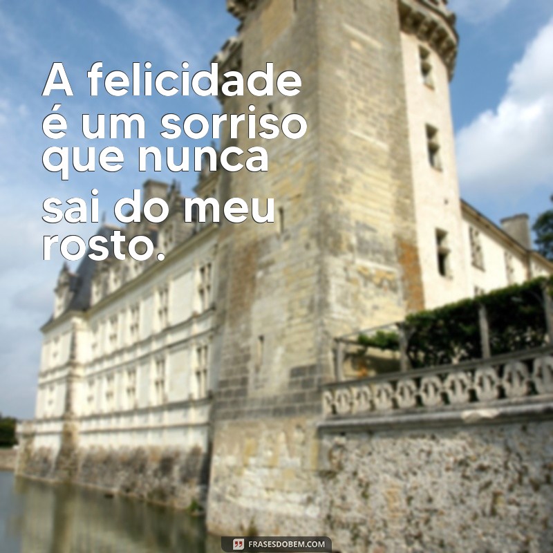 Descubra as melhores frases para se manter feliz, alegre e forte todos os dias 