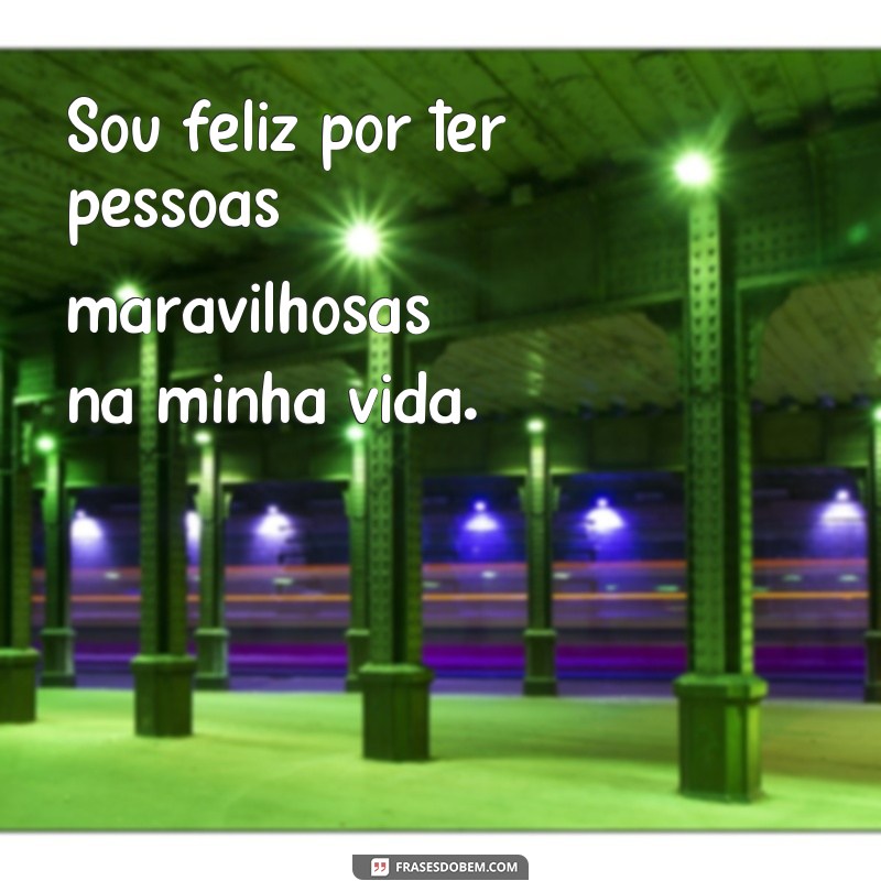 frases sou feliz alegre e forte Sou feliz por ter pessoas maravilhosas na minha vida.