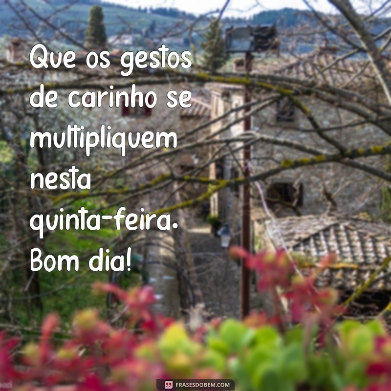 Encante sua quinta-feira com carinho: 23 frases de bom dia para começar bem o dia 