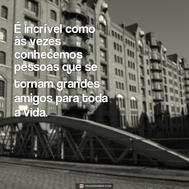 Descubra as melhores frases para expressar a amizade verdadeira: Conheci um grande amigo 