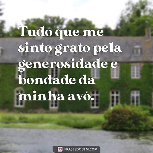 30 Frases Para Expressar o Amor e Carinho Por Sua Avó Tudo que me sinto grato pela generosidade e bondade da minha avó.