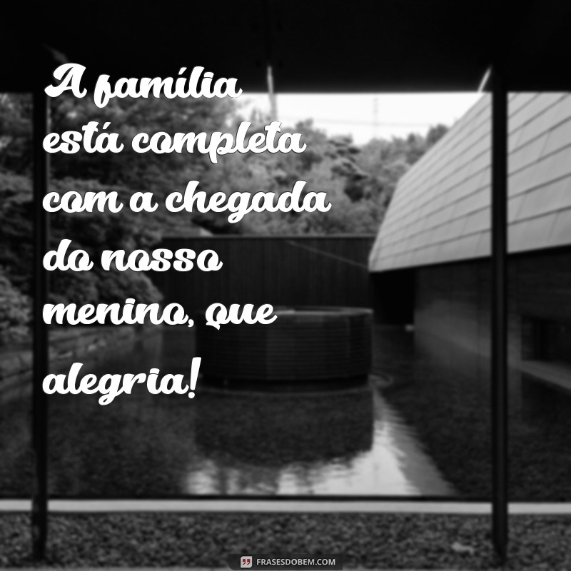 Descubra as melhores frases para o chá de fraldas do seu menino! 