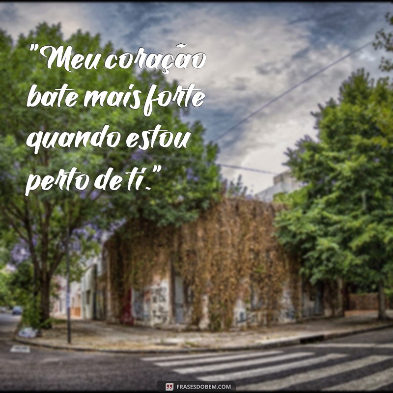 frases e versos de amor 