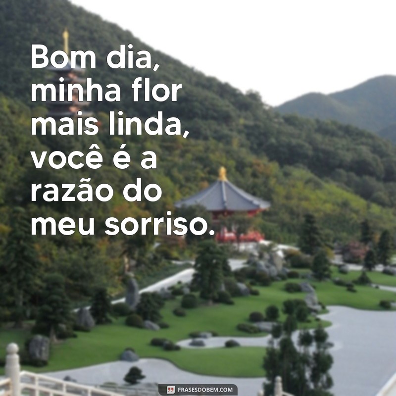 Encante sua manhã com as melhores frases de bom dia para sua flor 