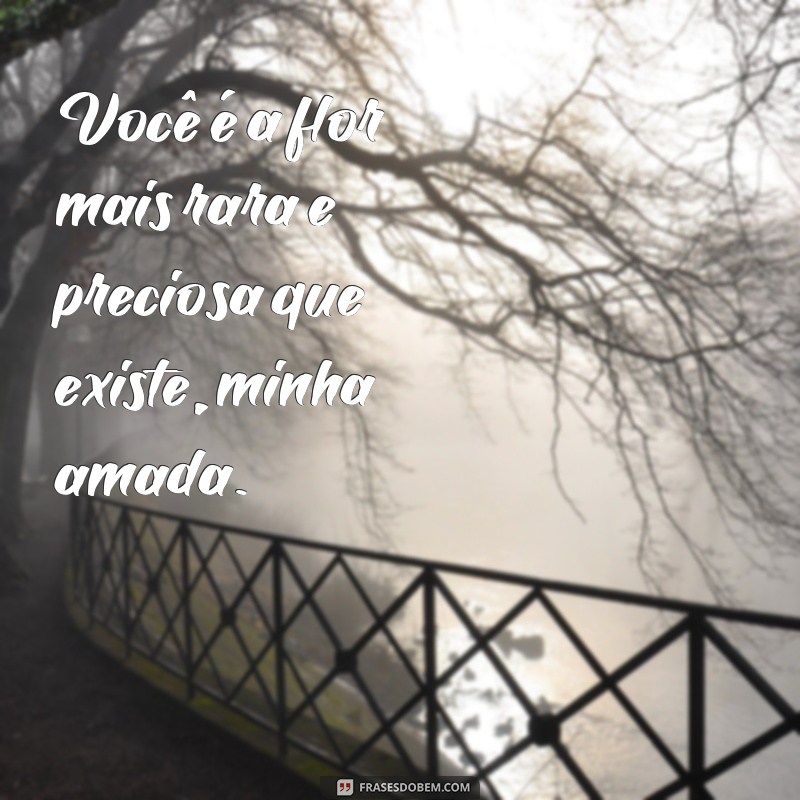 Encante sua manhã com as melhores frases de bom dia para sua flor 