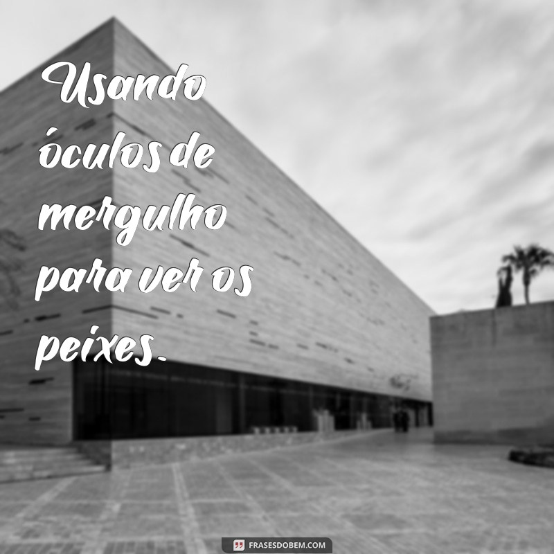 Descubra as melhores frases para arrasar nas poses na piscina! 