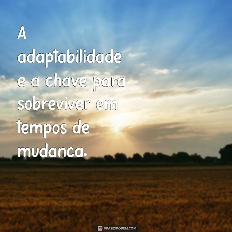 Frases Inspiradoras para Administradores: Dicas para Liderar com Sucesso 