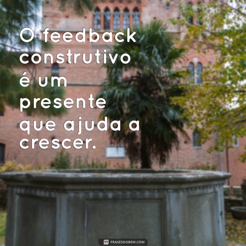 Frases Inspiradoras para Administradores: Dicas para Liderar com Sucesso 